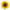 testo scorrevole